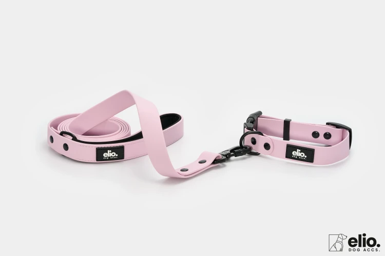 Dog accs03530__.jpg