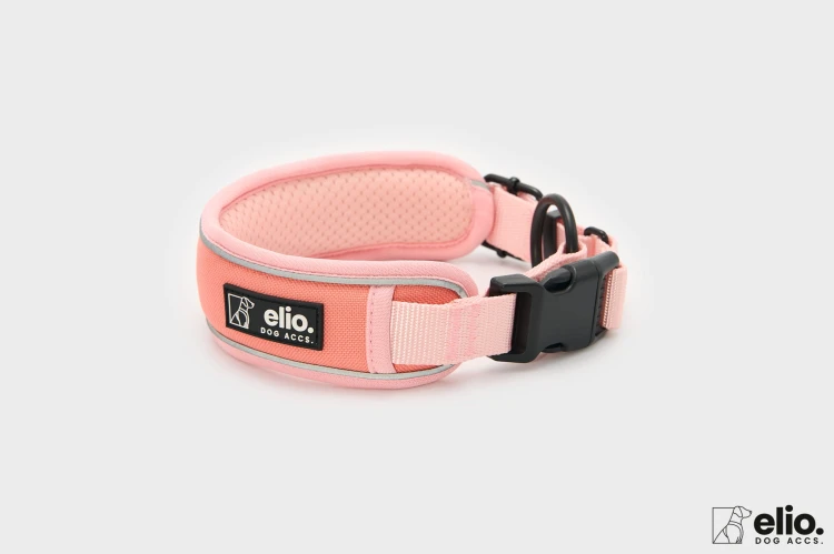 Dog accs08770__.jpg