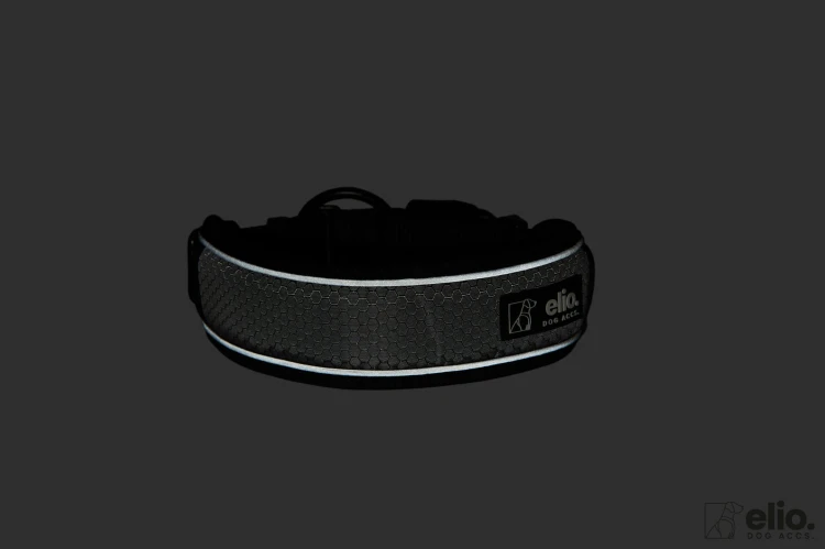 Dog accs08815__.jpg
