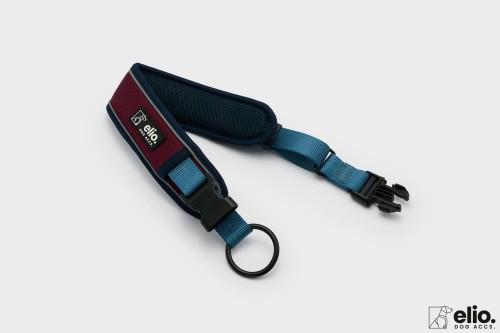 Dog accs02734__.jpg