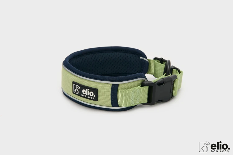 Dog accs08767__.jpg