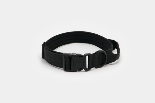 Dog accs03222__.jpg