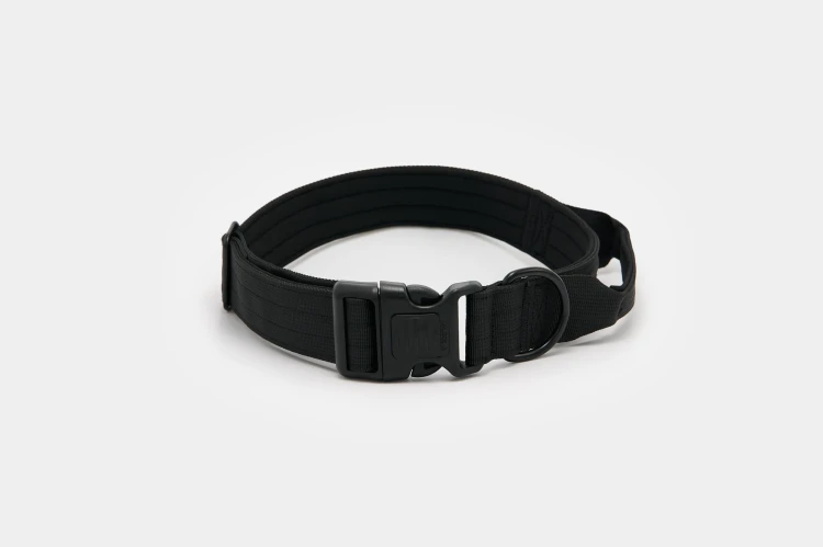 Dog accs03222__.jpg
