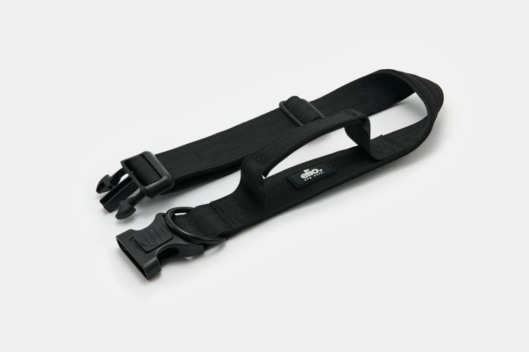 Dog accs03226__.jpg