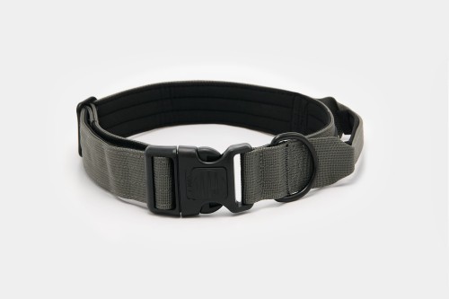 Dog accs03178__.jpg