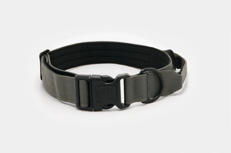 Dog accs03178__.jpg