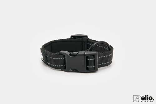 Dog accs03179__.jpg
