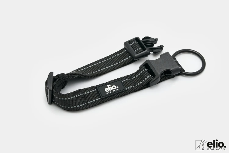 Dog accs03184__.jpg