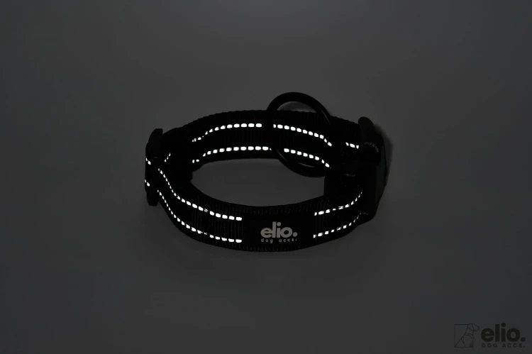 Dog accs03195__.jpg