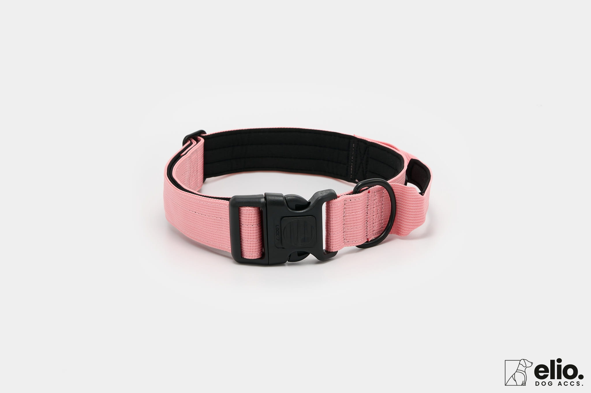 Dog accs03205__.jpg
