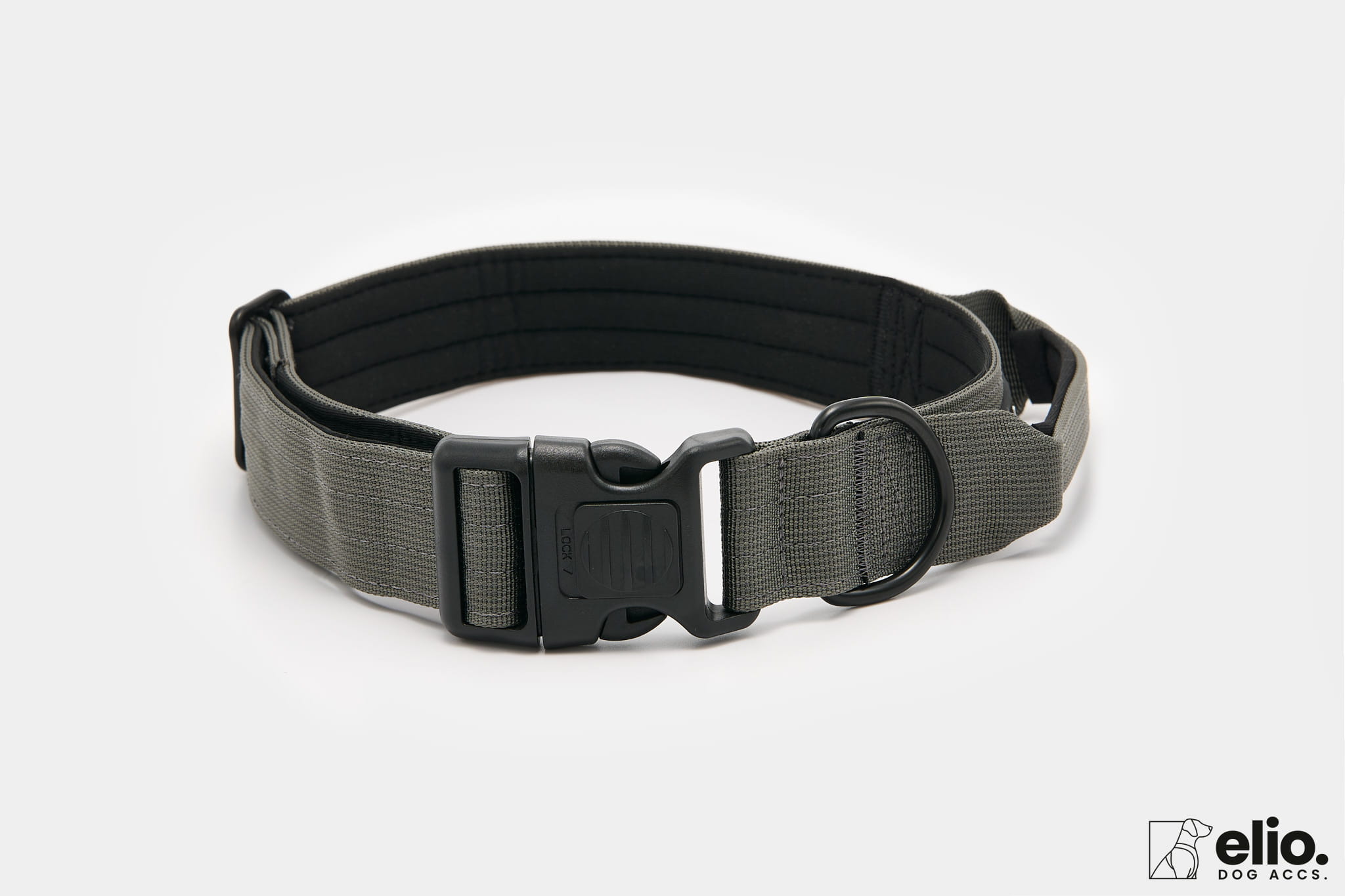 Dog accs03178__.jpg