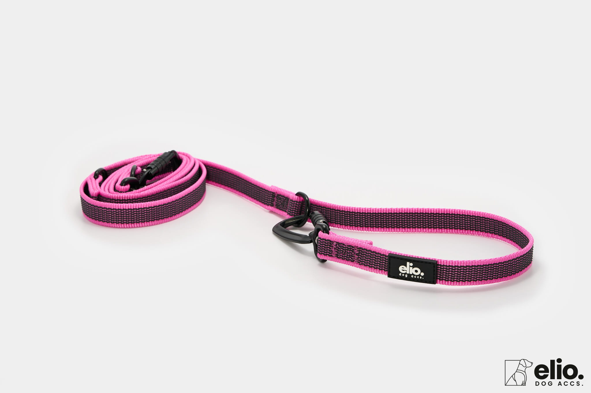 Dog accs03488__.jpg